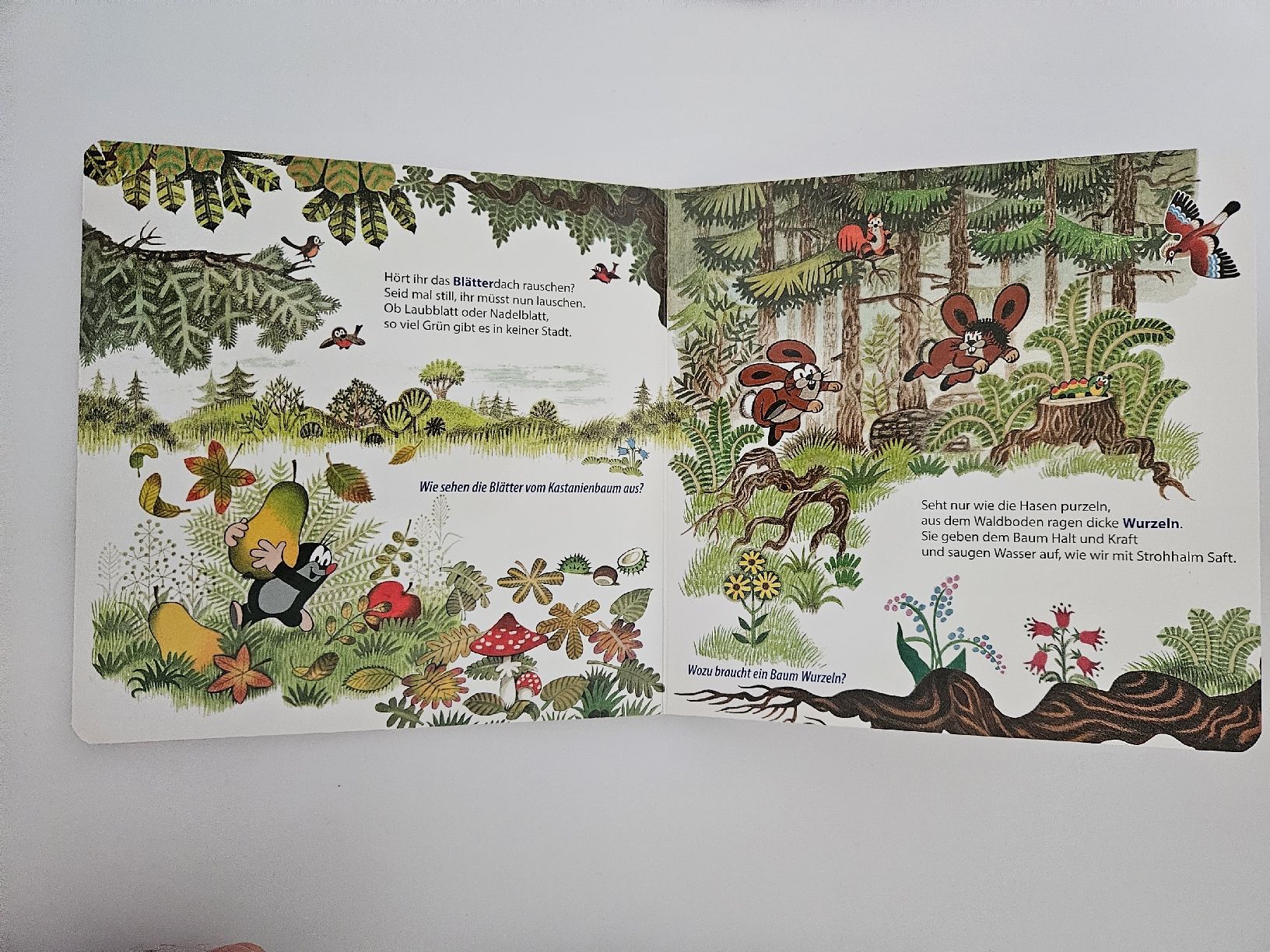 Libri: Der Maulwurf im Wald Kinderbuch – Usato da Oberdorf BL venduto da BaldenEagle 1