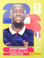Panini FIFA World Cup FRA 6