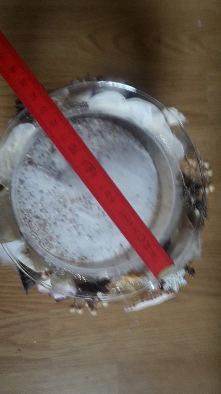 Alle Dekorationen: Grosses Decoglas – Gebraucht aus Schwarzenburg von Flamingo07 1