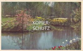 Lisse - Park Keukenhof /mp