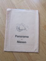 Panorama vom Niesen, alte Panorama-Karte, Sammlerstück