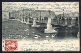 AK Genève, Les mouettes, 1903