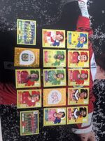 Seltene Panini WM 2026