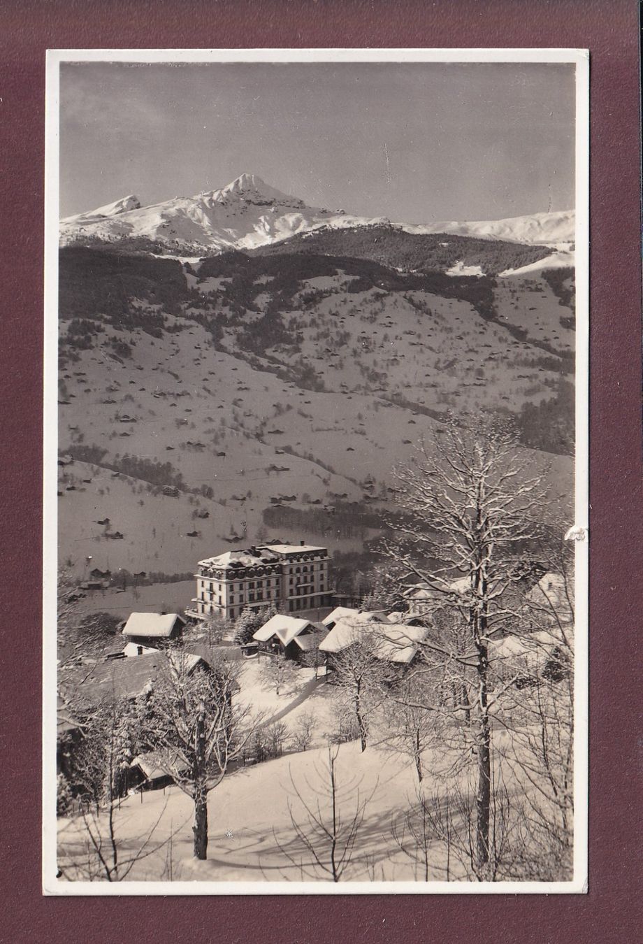 Ansichtskarten: GRINDELWALD - Hotel Belvedere - 1946 – Gebraucht aus Pully von nicecards