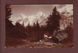 Foto - Adolphe Braun ? - EIGER und MÖNCH