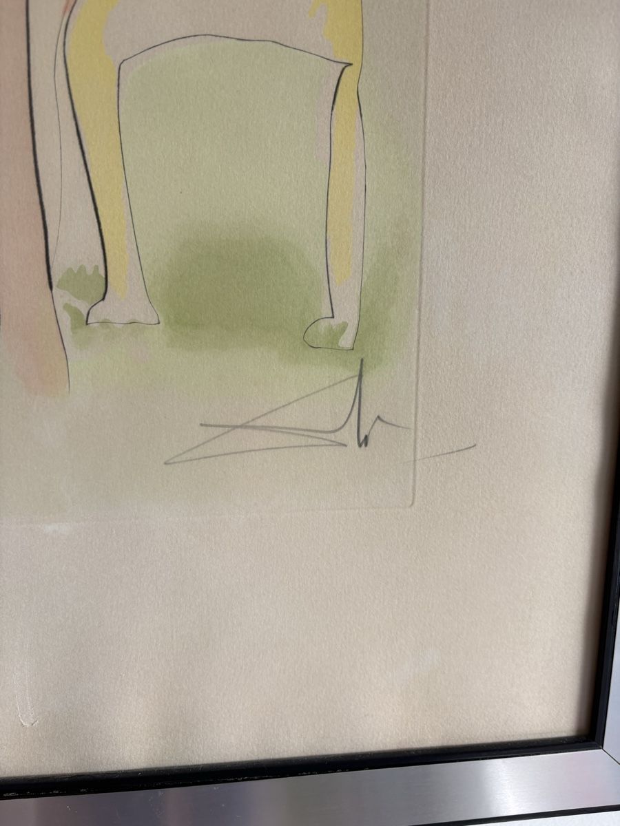 Stiche: Gravure Salvador Dalí Original – Gebraucht aus petit lancy von FerreiraLuis 3