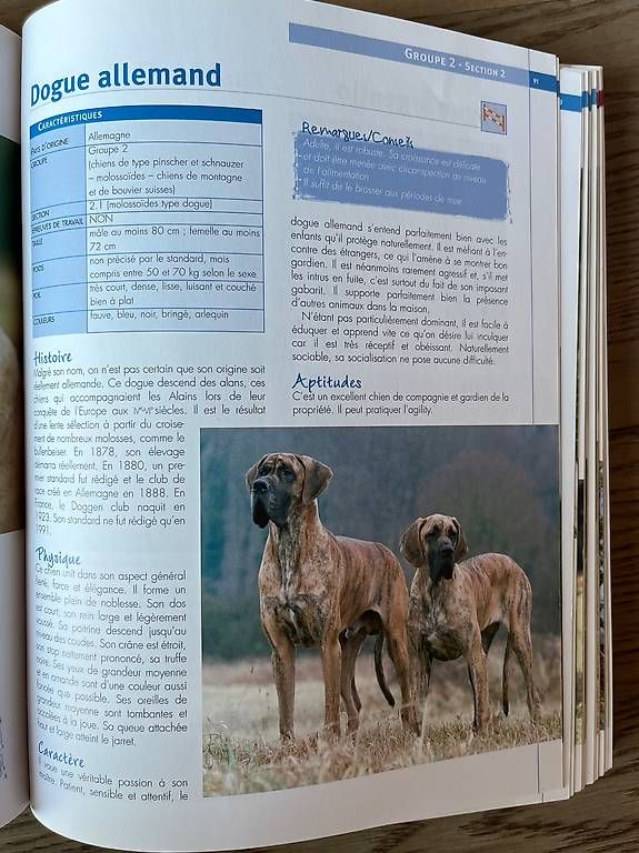 Bücher: Races de chiens / Encyclopédie visuelle – Gebraucht aus Chavannes-des-Bois von dvergani 3