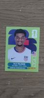 Panini FIFA World Cup 2026 Stick- USA 15 Malik Tillman