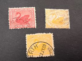 Australien West Australien Lot Schwanenmarken gest. (E1976)