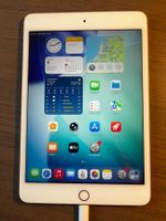 Apple iPad mini 5 Gold, 256GB, WiFi, mit OVP & Smart Cover