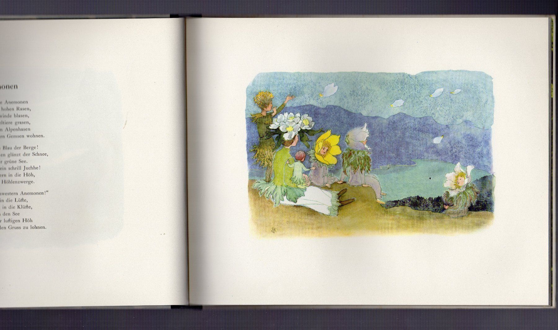 Libri: Alpenblumenmärchen. Ernst Kreidolf 1960 – Usato da Binningen venduto da blackhorse08 3