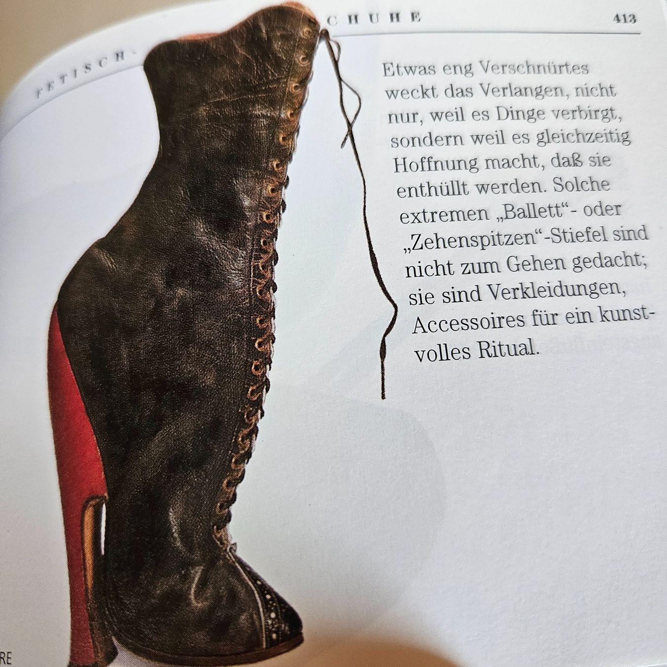 Bücher: SCHUH , Eine Hommage an den Frauenschuh – Gebraucht aus Uster von Sonnenblume212 7