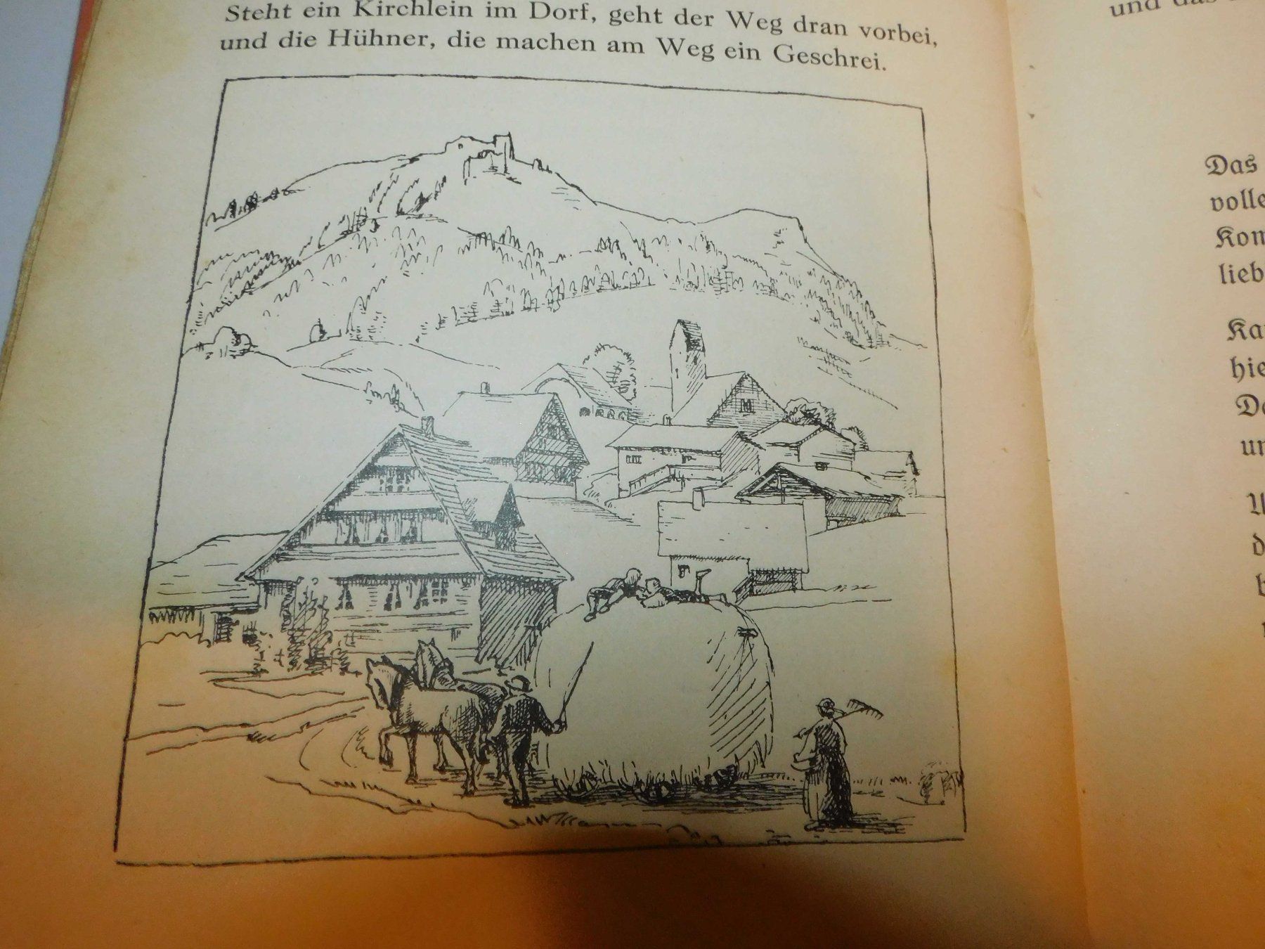 Libri: Buch - antikes Lesebuch Kanton Aargau 1925 – Usato da Sursee venduto da 76 3