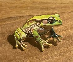 Pin Frosch