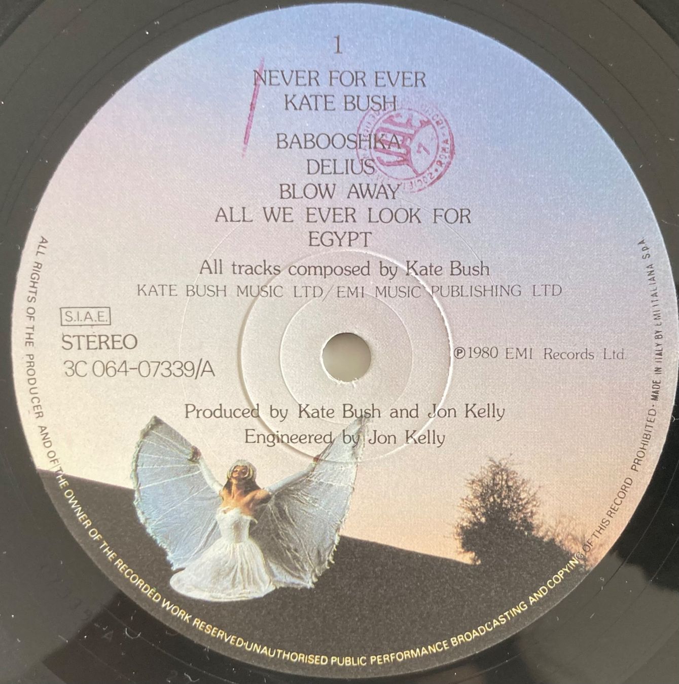 Dischi in vinile: KATE BUSH - NEVER FOR EVER – Usato da Poliez-Pittet venduto da Newtown-Records 2
