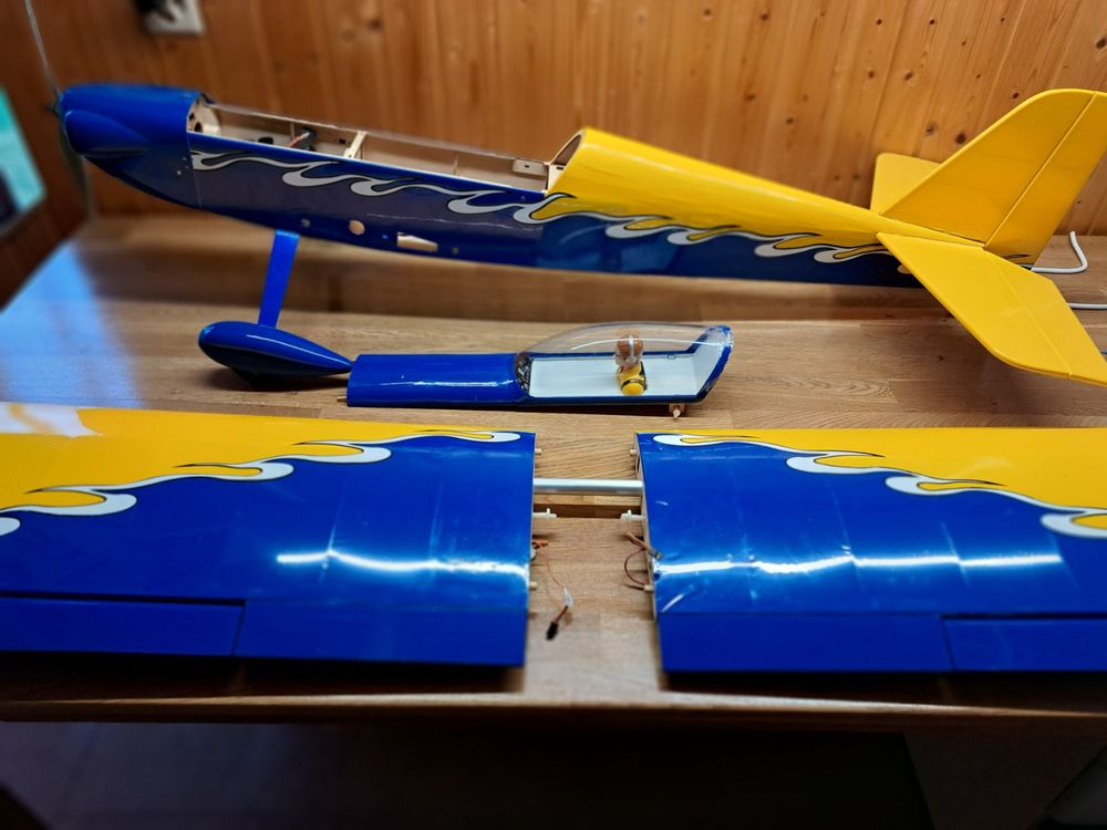 Elektro Flugzeug 8