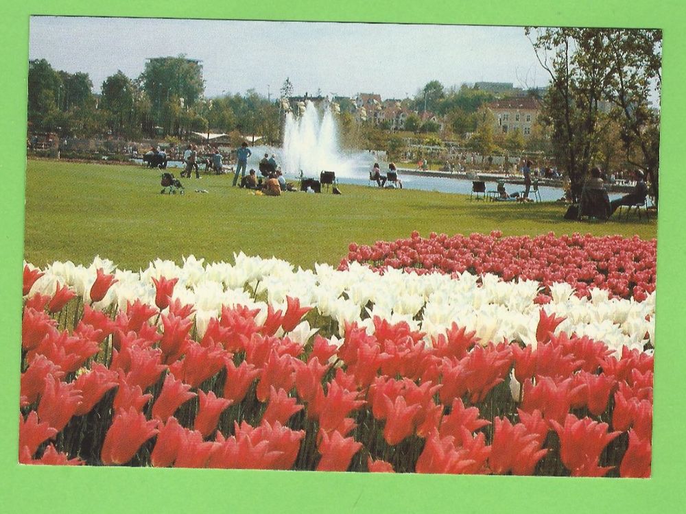 Cartoline postali: Grün 80 Basel – Usato da Zürich venduto da t24_de