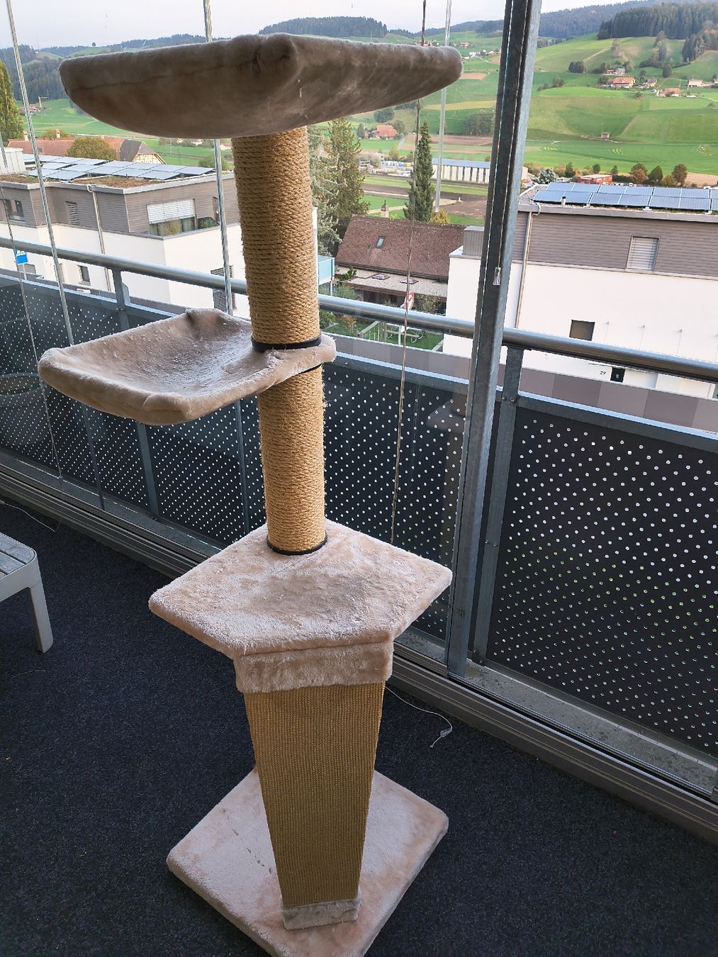 Katzenbaum - Kratzbaum: Katzenkratzbaum – Gebraucht aus Konolfingen von Michchachela