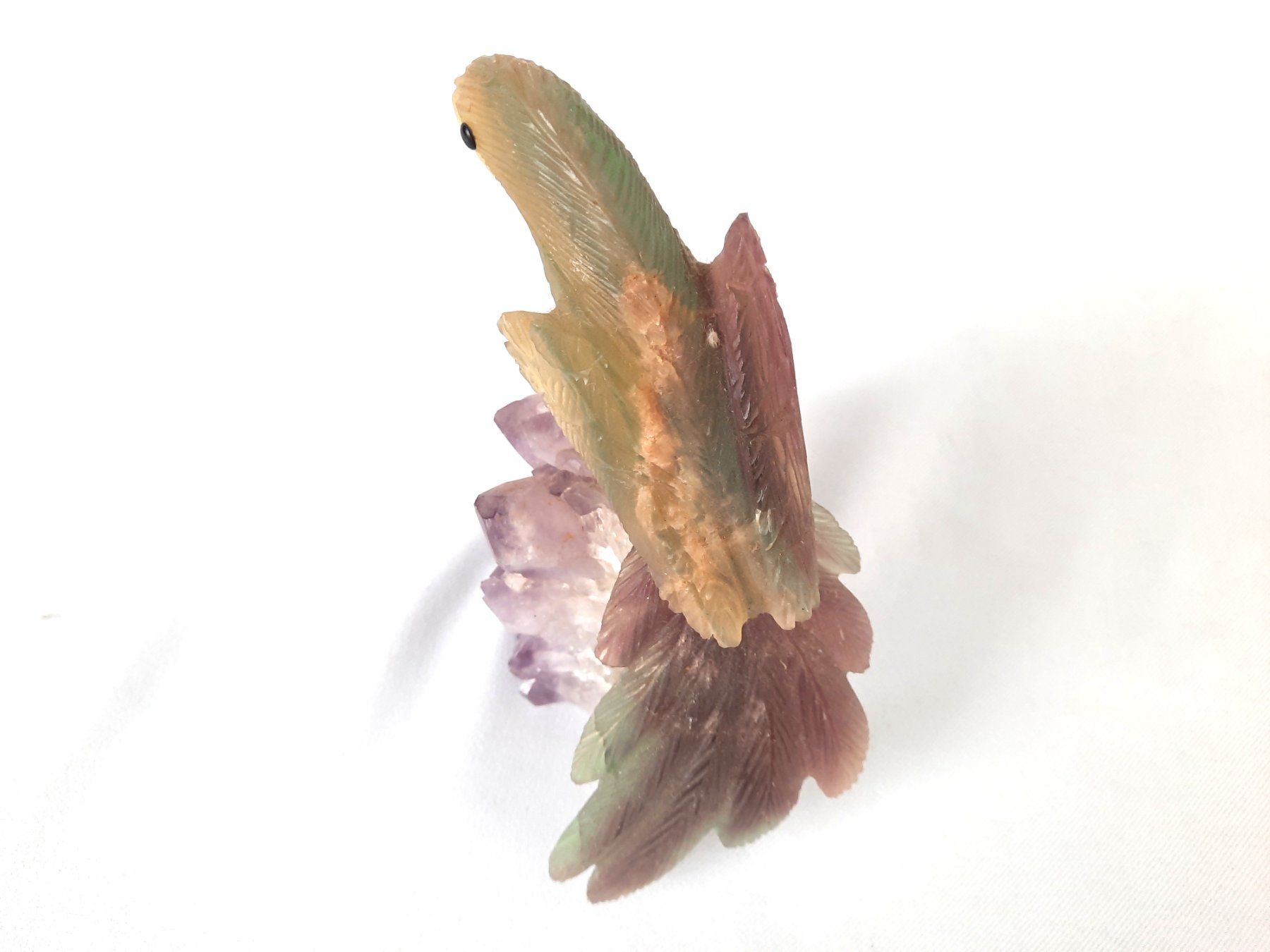 Minerali & Pietre curative: Papagei auf Amethyst-Cluster – Usato da Beinwil am See venduto da Restwert_Beinwil 3