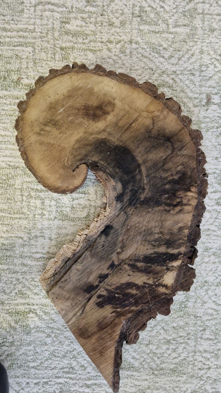 Holzartikel: Baumscheibe – Gebraucht aus Watt von sarahZH1995 1