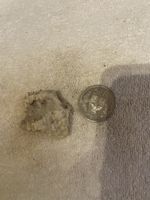 Seltenes Mineral - Bergkristall aus den Schweizer Alpen!