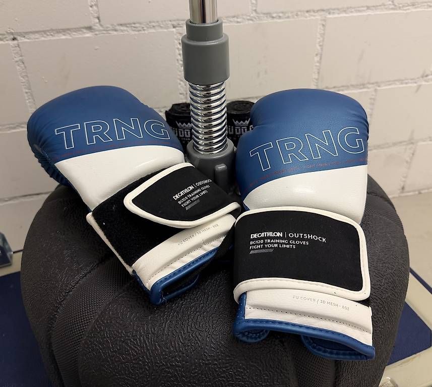 Sacs de frappe:  Boxer Birne mit Boxhandschuhen – D'occasion à Zuzwil SG par Toronto911 1