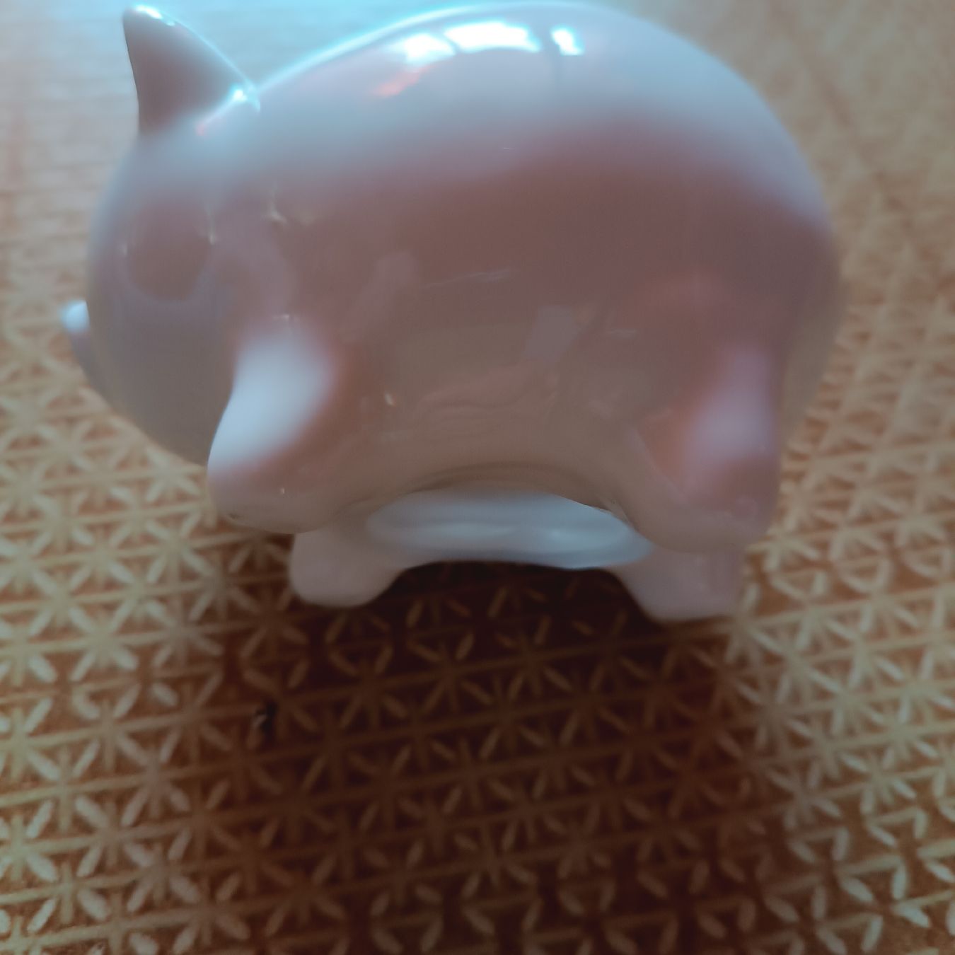 Salvadanai: Tirelire cochon Blanc – Nuovo e nell'imballaggio originale da Cornaux NE venduto da Mimi983 1