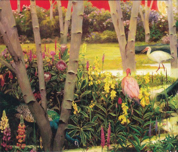 CDs: Rival Sons – Feral Roots – D'occasion à Brittnau par Zibu 1