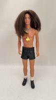 Paul, Steffie Collection