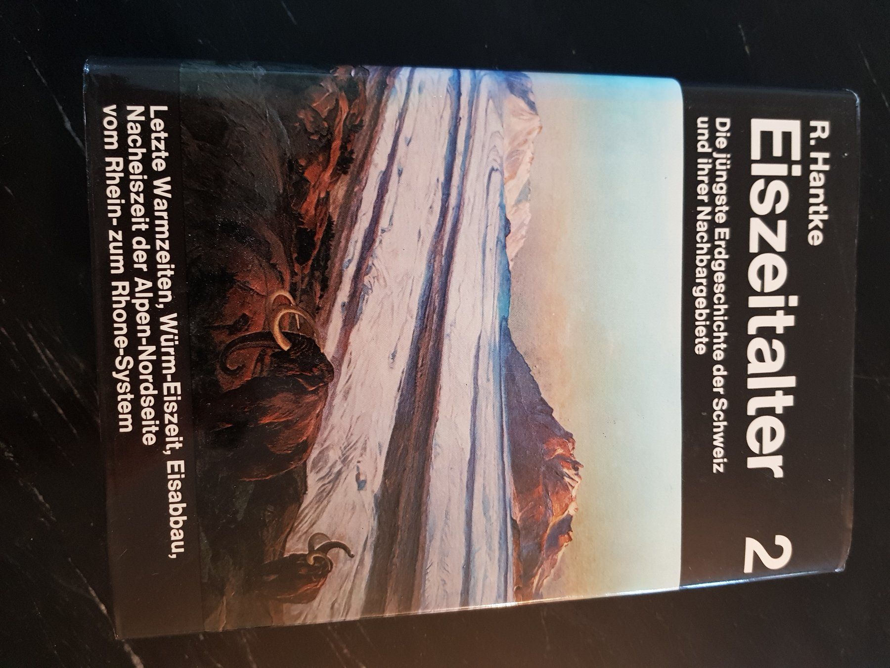 Livres: Buch Eiszeit – D'occasion à Gutenswil par rolfsimmen31