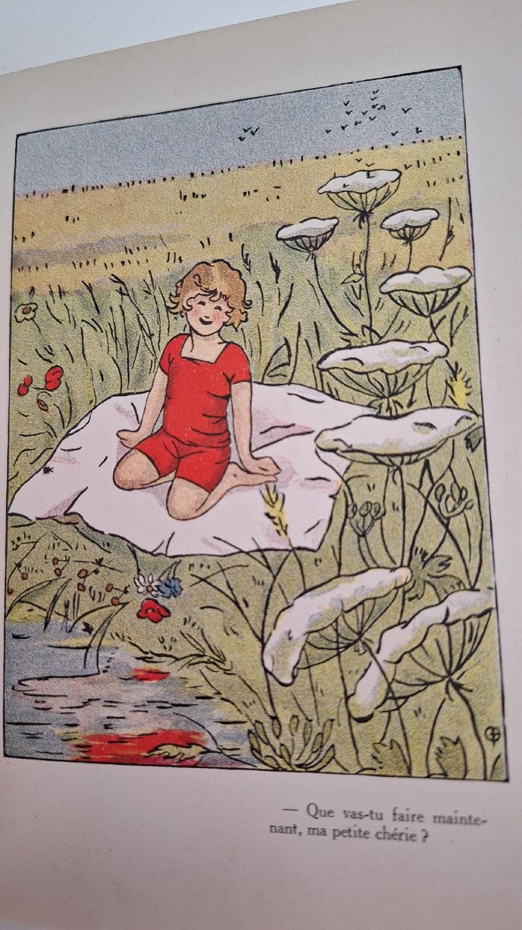 Libri: Les vacances de l'oncle Roger – Usato da Muttenz venduto da Biniruf 6