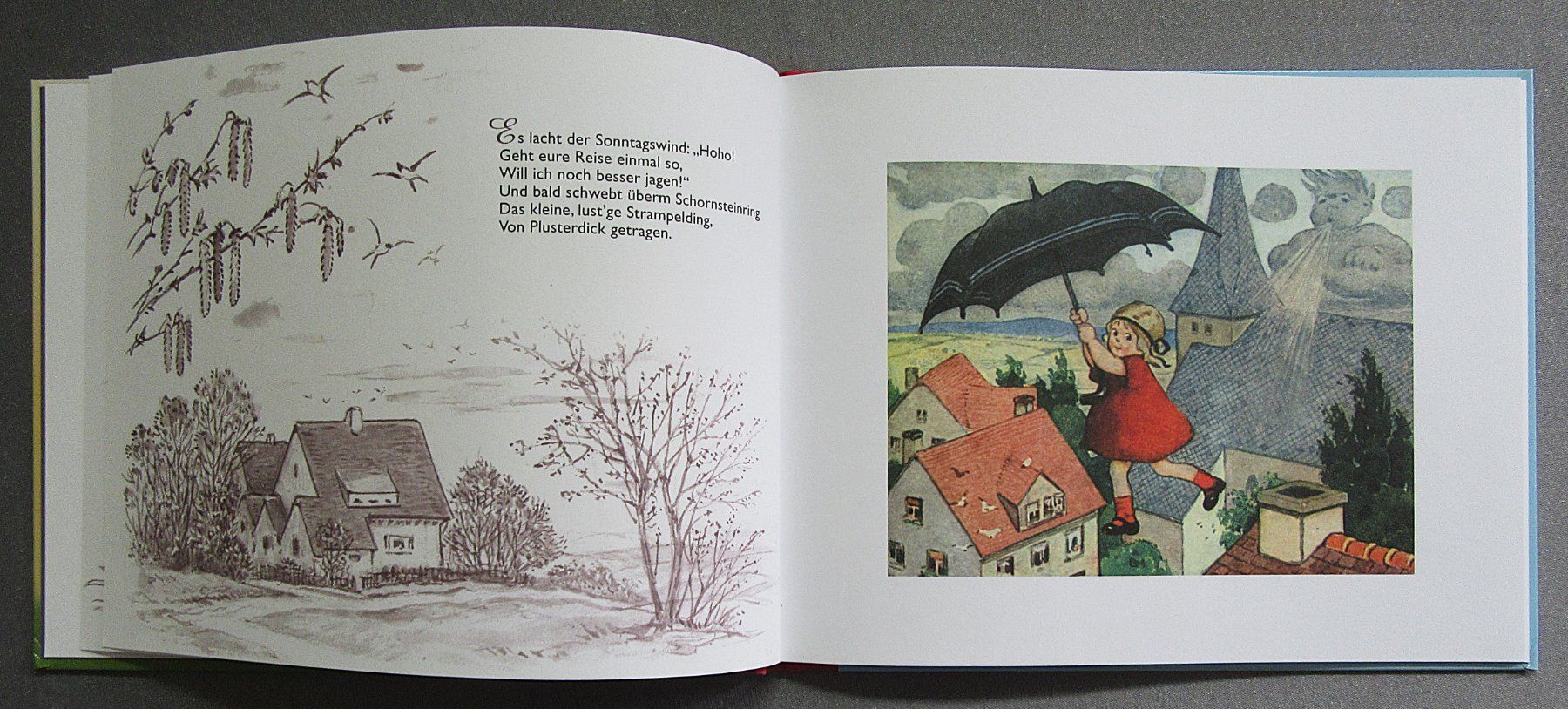 Libri: Die Annemarie und der Plusterdick - Bilder Fritz Baumgarten – Usato da Auenstein venduto da Padabimbim 3