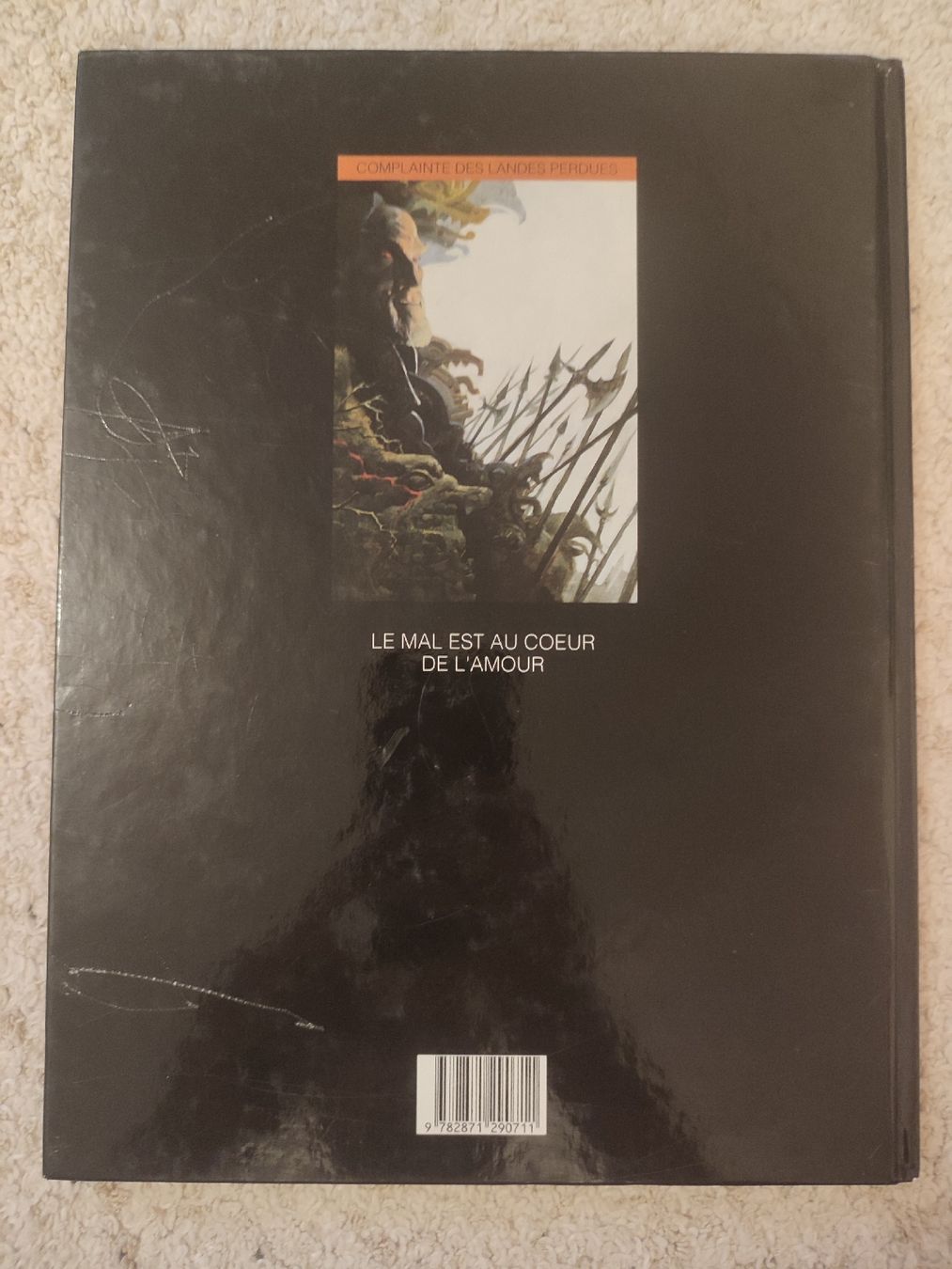 Fumetti: Complainte des landes perdues - Sioban - EO - BE – Usato da Bougy-Villars venduto da Vogue 3