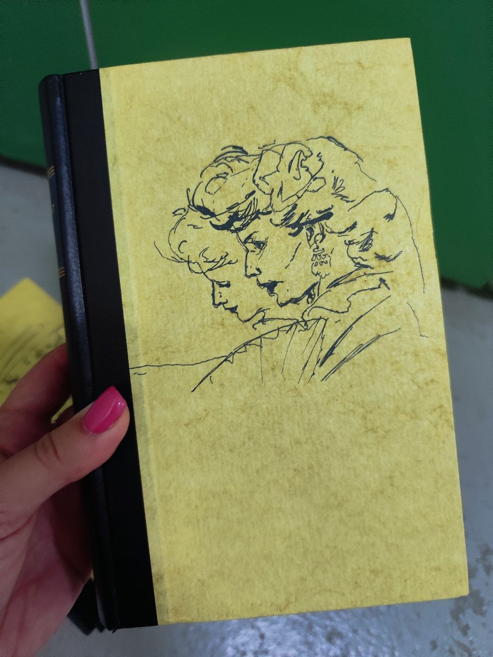 Bücher: Guy de Maupassant Werke 9 Bände – Gebraucht aus Mägenwil von VintageGirly 4