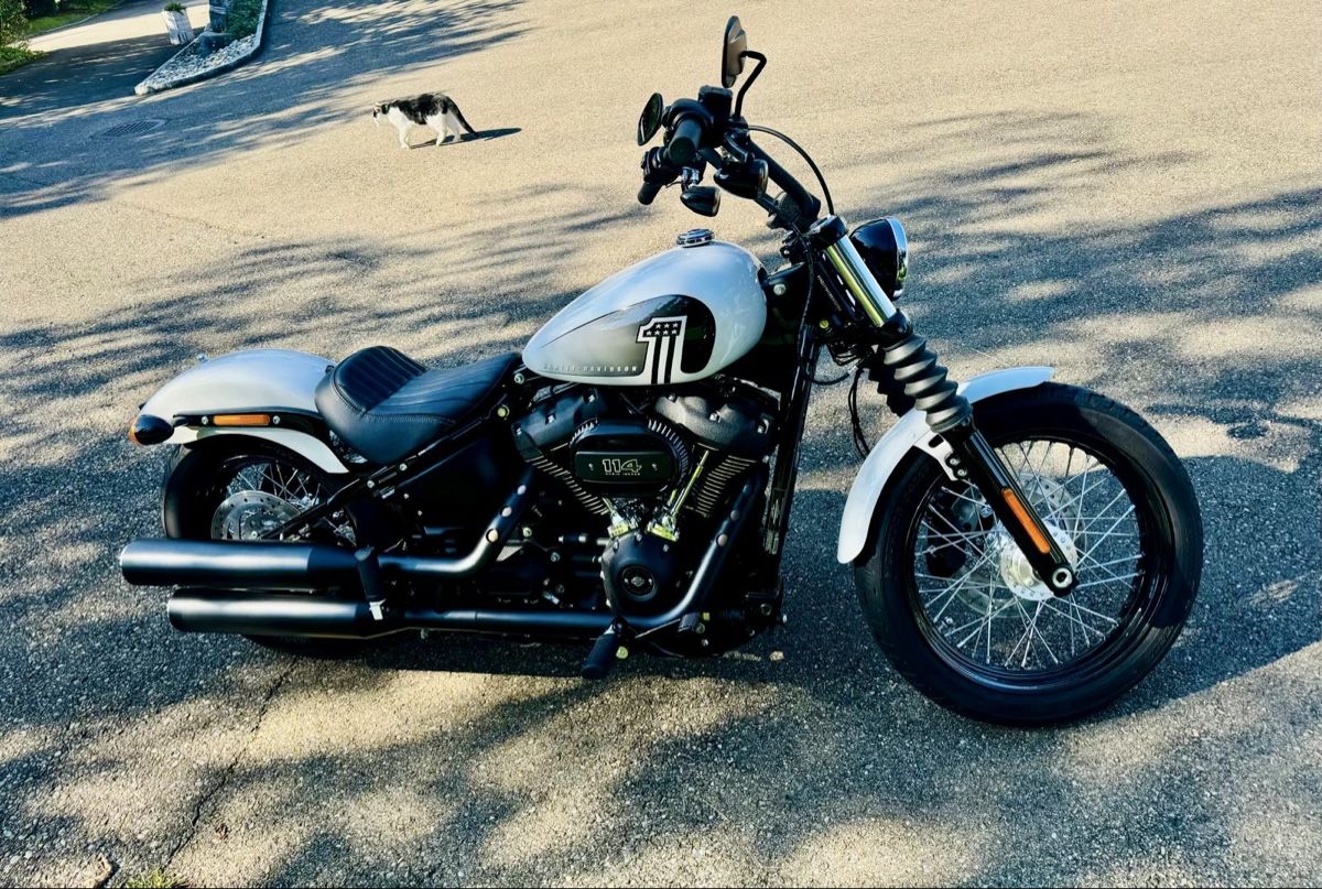 Harley-Davidson Chopper: Harley Davidson FXBBS – Nuovo (secondo la descrizione) da Rotkreuz venduto da Datoro 1