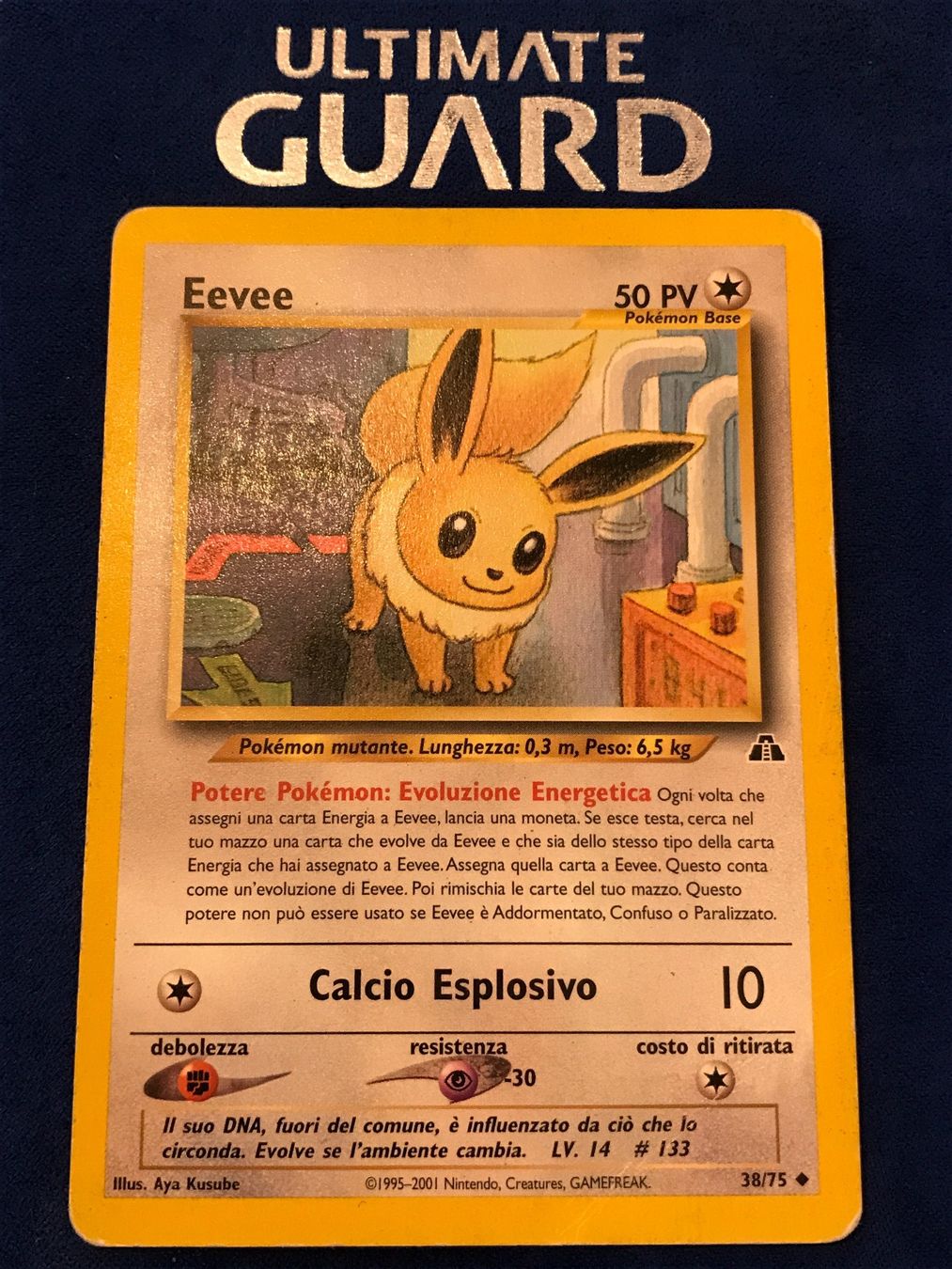 Pokémon Sammelbilder & Trading cards: Pokemon Evoli Eevee IT Neo Discovery – Gebraucht aus Lyss von DeaDiLuna