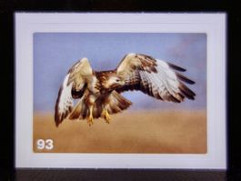 MIGROS MANIA Nature Detectives Nr. 93