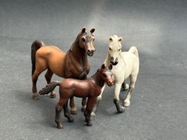 Schleich Araber Pferd Hengst Fohlen Stute