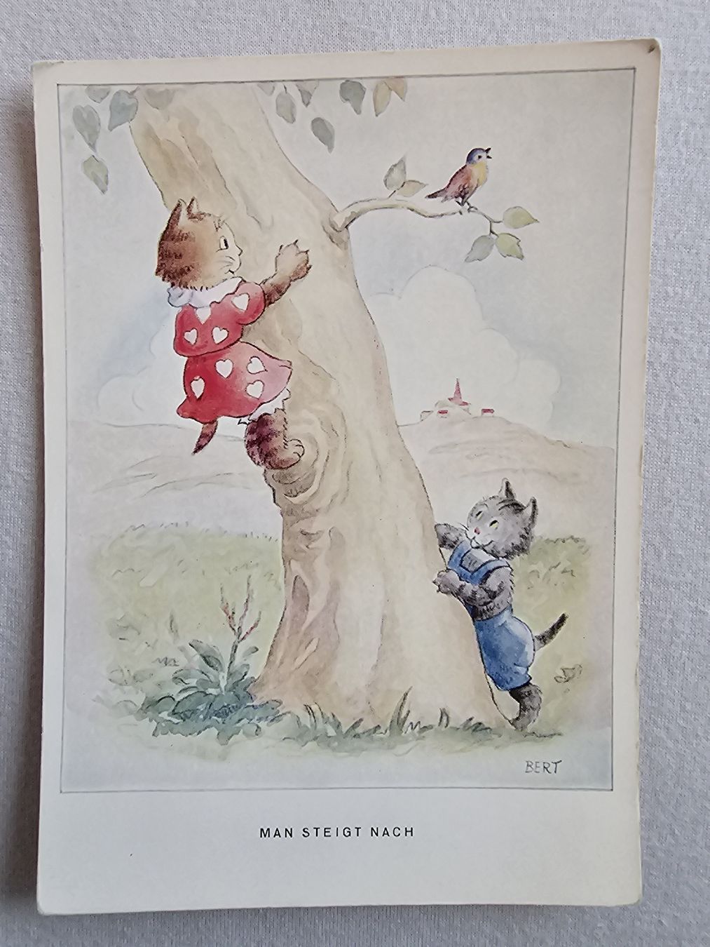 Cartoline postali: Alte Postkarte – Nuovo (secondo la descrizione) da Bütschwil venduto da Taranabo