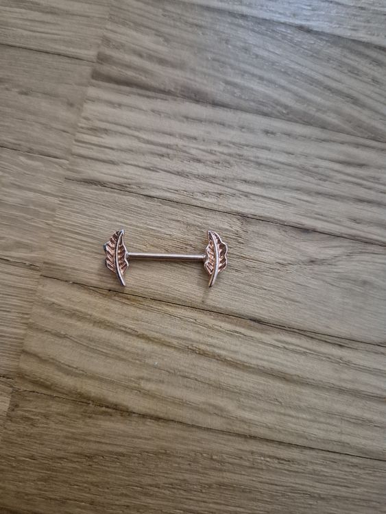 Brustpiercing (Gebraucht) in Jona für CHF 1 – mit Lieferung auf Ricardo ...