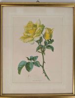 Goldrausch Rose Gemälde