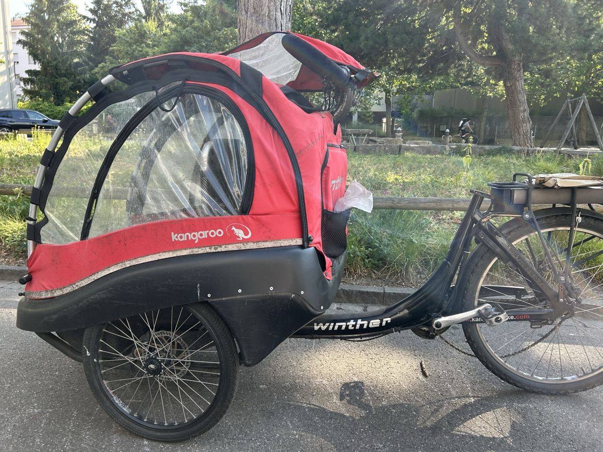 Winther Velos: Winther Kangaroo Cargo-Bike – Defekt aus Basel von Nyarlatothep