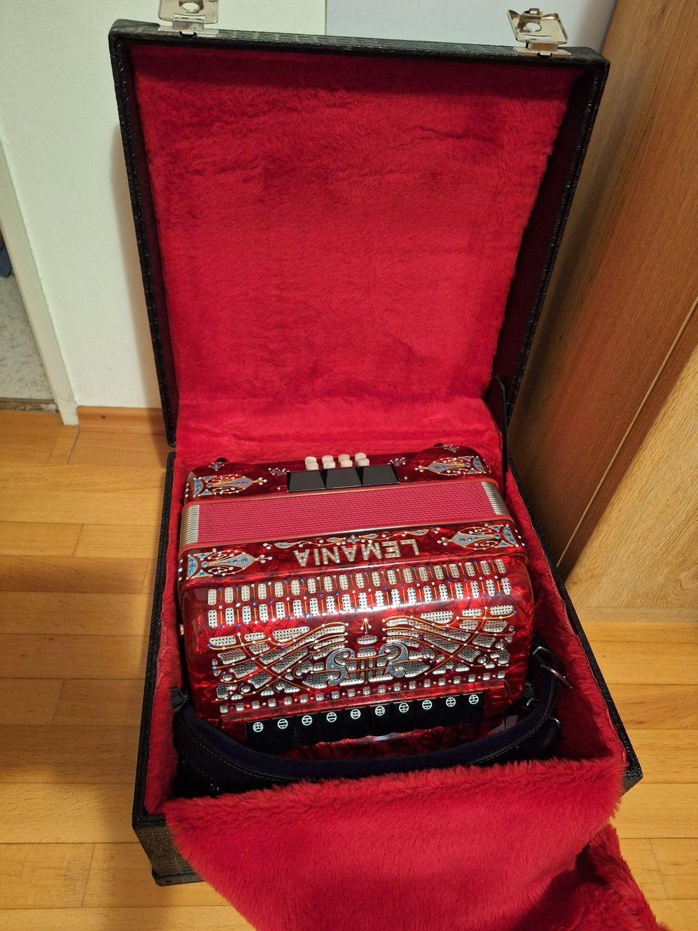 Lemania Musikinstrumente: Akkordeon Lemania – Neu (gemäss Beschreibung) aus Flumenthal von Cornella01 4