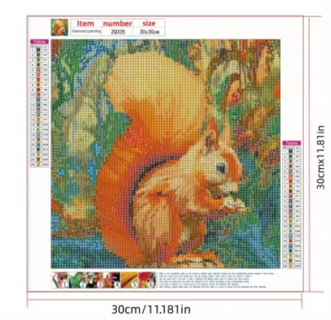 Kit bricolage: Diamant Painting Eichhörnchen 30x30cm – Nuovo e nell'imballaggio originale da Aarau venduto da ozgysi 1