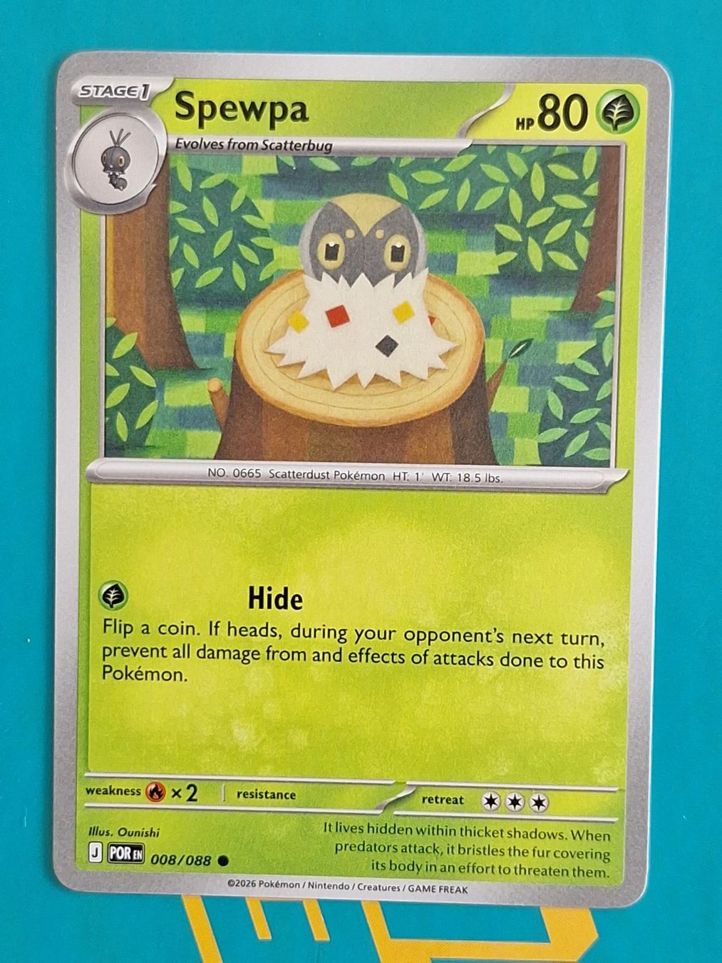 Pokémon Carte collezionabili: Spewpa - Pokemon Perfect Order – Usato da Altstätten SG venduto da GGsGameshop