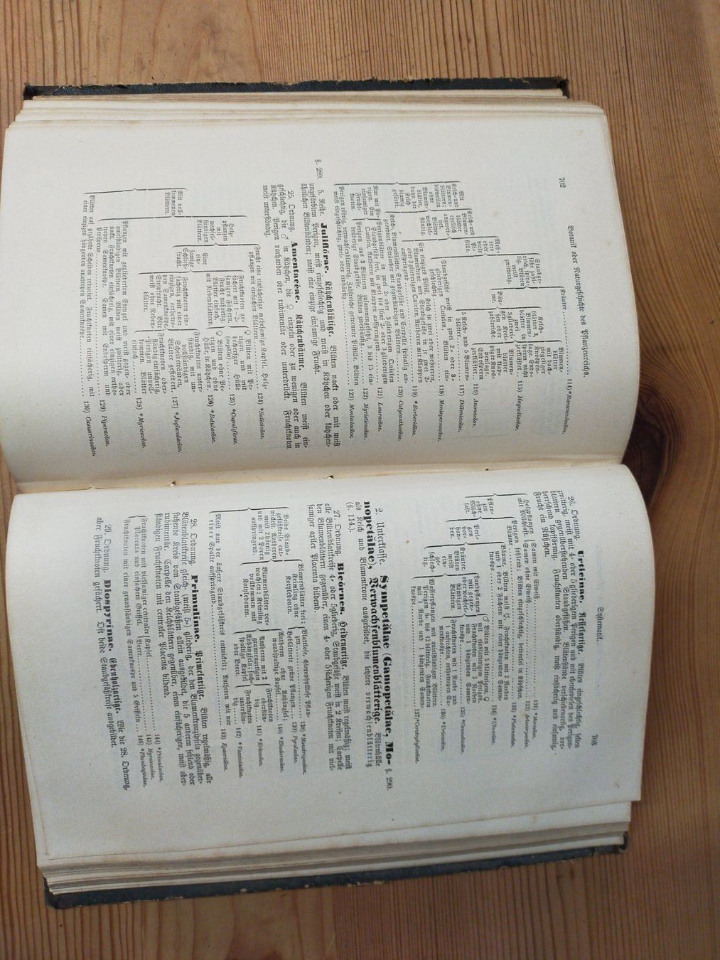Libri: Buch Leunis Synopfis Pflanzenkunde 1883 – Usato da Ehrendingen venduto da Axe31 7