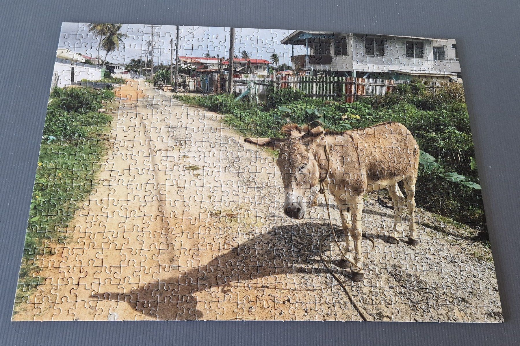 Puzzle: Lais Puzzle 500 Teile. Guyana – Usato da Birsfelden venduto da bah_2rkh
