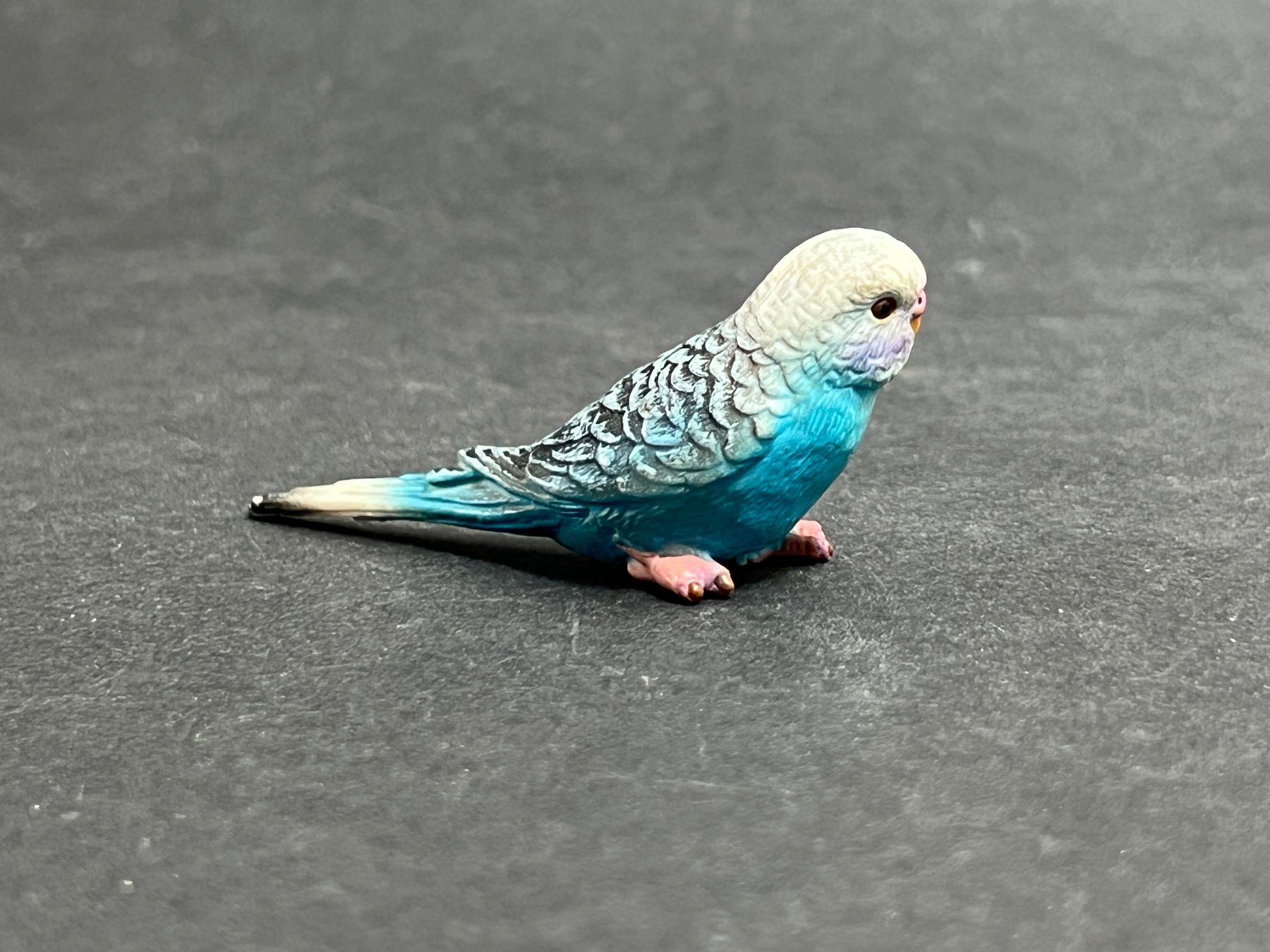 Schleich Statuette: Schleich Wellensittich blau Vogel – Usato da Ennetbaden venduto da mapa05 2