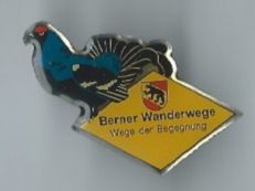 Plaketten & Abzeichen: Berner Wanderwege, Pin – Gebraucht aus Zürich von t24_de