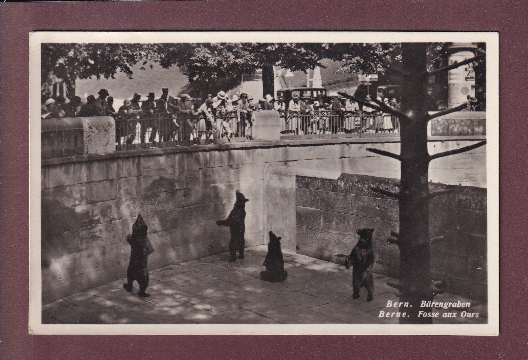 Ansichtskarten: BERN - Bärengraben - 1932 – Gebraucht aus Pully von nicecards